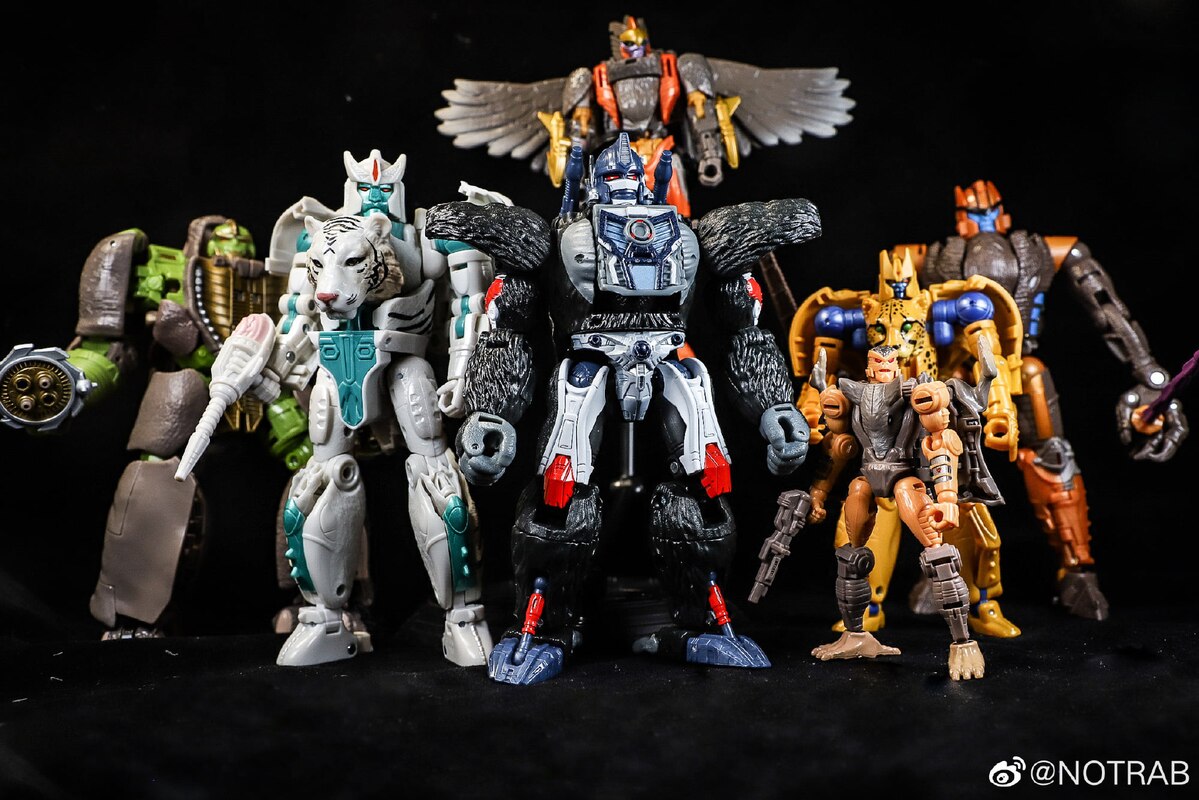 tigatron transformers kingdom